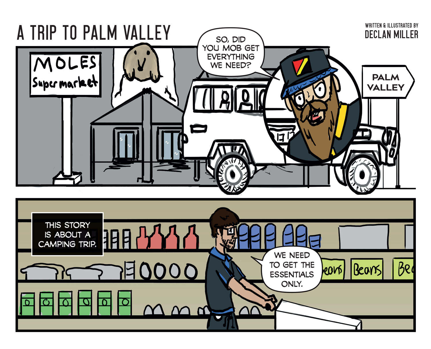 A Trip to Palm Valley